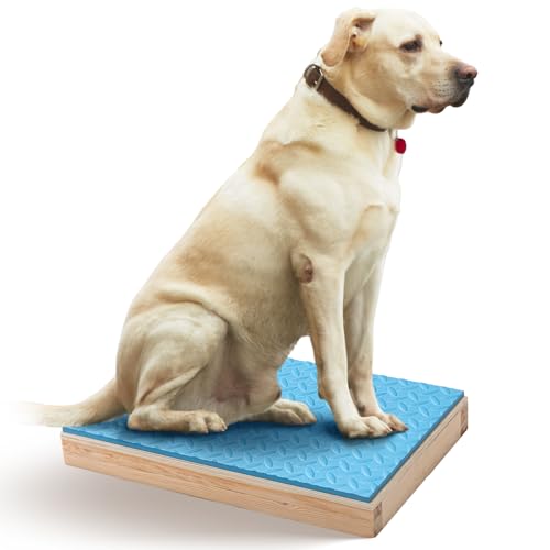 Chunful Dog Place Board