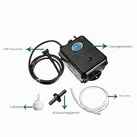 Ozongenerator für Luft und Wasser 300mg/h, Ozonisator Reiniger für Gemüse, Obst, Kleine Pools, Badewannen (300mg/h -Wasser) – Ansicht 2