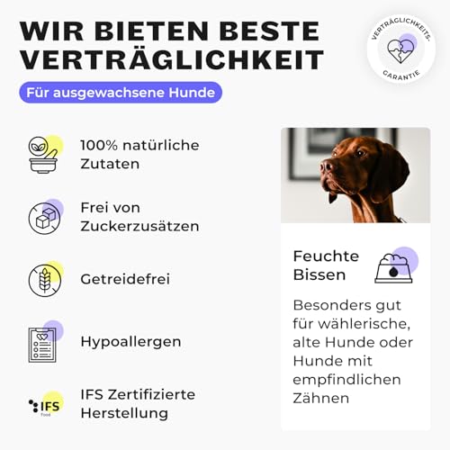 HEY HOLY Premium Nassfutter für große Jagdhunde 100% getreidefrei | 6X 400g Hundefutter für ausgewachsene große Jagdhunde mit Ente | Hochverträglich aus natürlichen Zutaten