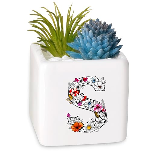 BJDAMAI Succulent Planter Flower Plant Pot Small, Gifts for Women Girls Sister Daughter Granddaughter Niece Friend Birthday Party Travel (Letter S)