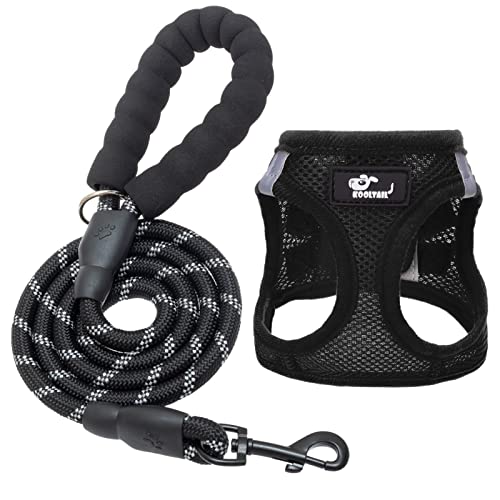 Breathable Air Mesh Dog Harness with Reflective Leash, Adjustable No Pull Step in Vest Harness for Small Dogs Puppies…