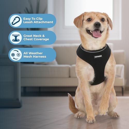 Image of Voyager Aerolite Over The Head Dog Harness, No Pull Breathable Air Mesh Vest, Quick Dry with Reflective Stitching, Adjustable Escape Resistant Harness for Small Medium Large Dogs - Black, Large
