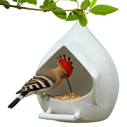 mangiatoia per da esterno - nìdo per artificiale sospeso | santuario della casa sferica | ciótola impermeabile con fori di drenaggio, ideale giardino, balcone, patio e osservazione