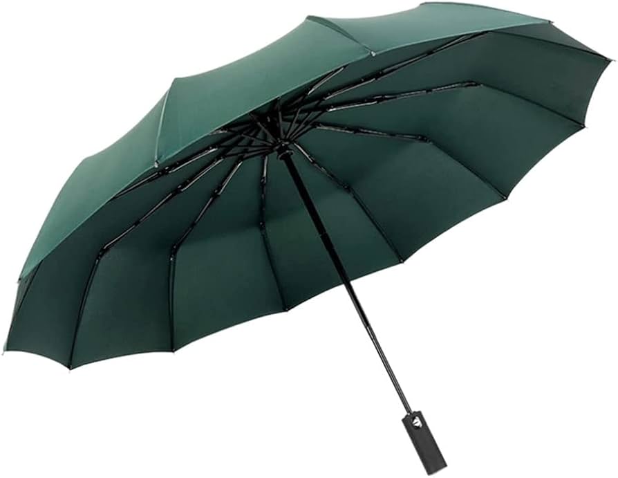 Regenparaplu's Paraplu Winddichte Opvouwbare Reisparaplu