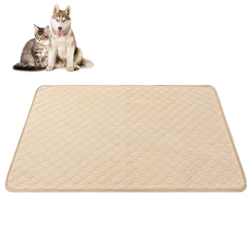 HINTRMENT 2 􂦂hhAA? pzybgV[c ^~ߕt gCg[jO}bg \t@ԓɂΉ