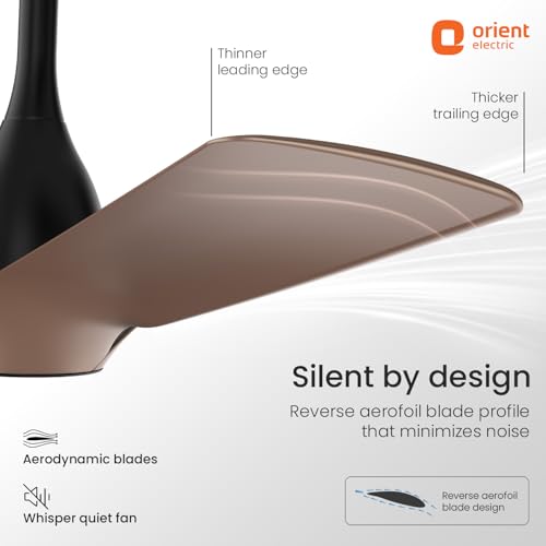 Image of Orient Electric Aerosilent | India's Most Silent Fan | Less than 50dB| 1200mm BLDC Ceiling Fan with Remote | BEE 5-Star Energy-Efficient Fan | Red Dot Design Winner| 5-Year Warranty | Tangerine Brown