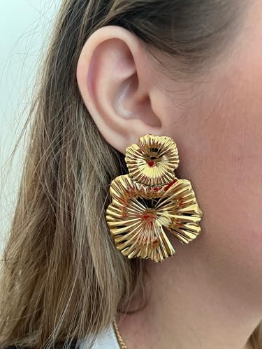 Aretes, Sports Imagen adicional