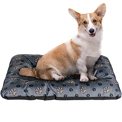 Coussin pour chien imperméable pour dire adieu aux mauvaises odeurs - 5