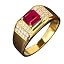 Garnet Ring 9