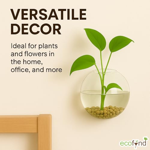 Image of ecofynd Glass Vase for Flowers Plants, Modern Decorative Vase for Home Decor Center Table, Bedroom, Living Room, Office Decoration, Wedding or Gifts, Fish Tank (GVASE007)