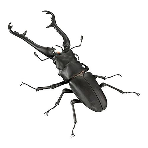いきもの大図鑑アドバンス ギラファノコギリクワガタとマンディブラリスフタマタクワガタ ギラファノコギリクワガタ ケイスケイ