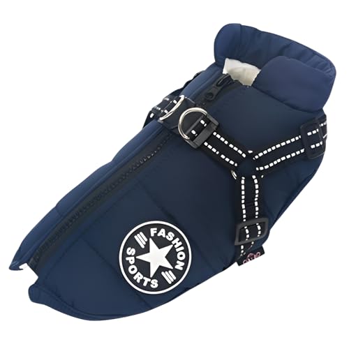 [Tumanld]yybgzp~WPbg 苹w̌^ rh Ȉ̖h gy FI