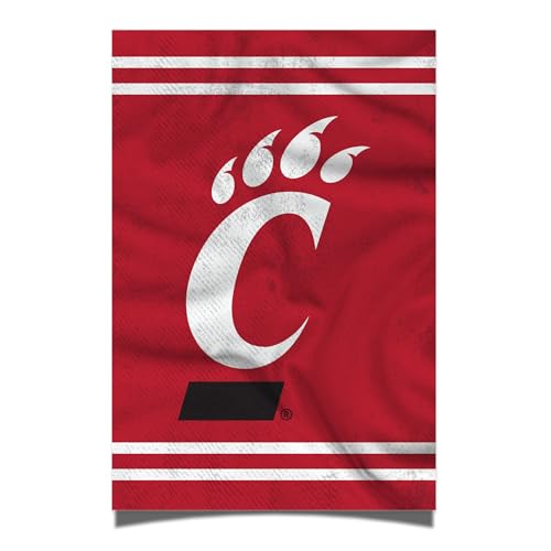 Desert Cactus University of Cincinnati Poster Bearcats UC 11 x 17 Inch Room Office Décor Decoration Official Fan Gear (11x17,Version 3)