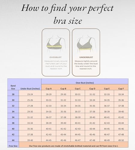 PLUMBURY Women's Strapless Seamless Padded Bandeau Tube Bra, Removable Pads, Free Size Wire Free 96% Nylon, 4% Spandex - Image 5