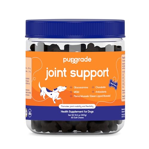 PupGrade Joint Support Supplement for Dogs - Glucosamine + Chondroitin with MSM and Perna - Supports Normal Hip & Joint Health for Occasional Discomfort, Beef Flavor - 60 Soft Chews