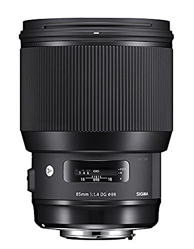 Sigma 24-70mm f/2.8 lens