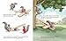 Newton and Curie Take Flight!: A Picture Book