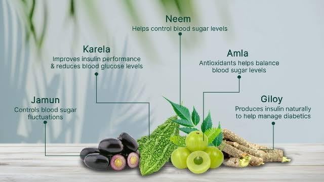 Image of Neem Karela Jamun Juice Traditional Herbal Mix | Natural Ayurvedic Health Tonic for Blood Sugar Management, Digestion & Immunity Support | Herbal Detox Juice for Healthy Lifestyle | 1000 ml (1 Litre)