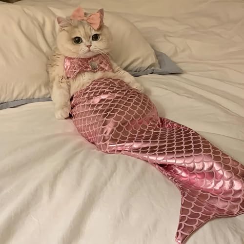 Disfraz de gato con cuello halter regulable y diadema suave 3