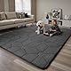 Sour Lemon Teppich Wohnzimmer 275x370cm, Teppichd Grau Waschbarer Teppich Kinderzimmer Flauschige Carpets Schlafzimmer Carpet Gegend Kurzflor Flauschig Rutschmatte Kinderzimmer Teppiche