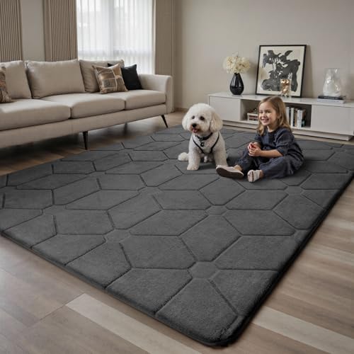 Sour Lemon Rugs Living Room 200x300,3D Grey Area Rugs for Bedroom,Extra Large Rugs for living room,Machine Washable Anti Slip Short Pile Rug Carpets Mat for Kids Room Bedroom