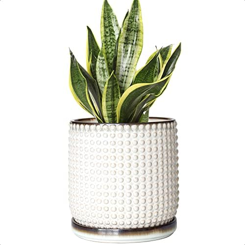 D'vine Dev 6 Inch Ceramic Beaded Stoneware Planter Pot - Flower Pot with Drainage Holes and Saucers for Indoor Succulent Plants or Flowers, Smoked White, 27-N-B-SW-M
