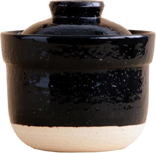 Comparison: Best Rice Cooker For One Person 11 Iga no Takumi Instant Rice Pot Microwave Rice Cooker Clay Pot for One-Person Cooking Authentic Iga-Yaki Donabe – Perfect for Rice & Hot Pot (US Version)