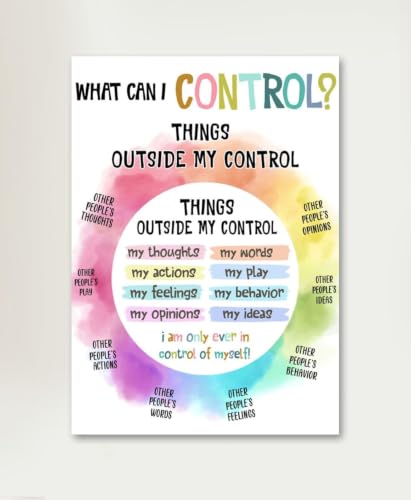 The Hygge Life What I Can Control School Counselor Sign, Classroom Wall Art, Social Worker Office Decor, Counseling Poster Metal Tin Growth Mindset, Gift 6x8 inch