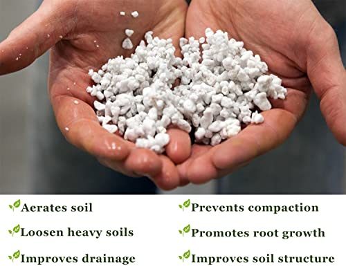Chunky Perlite Bulk, Horticultural Pearlite Coarse Perlite for Plants Indoor, Additive Conditioner Mix, Improve Drainage and Ventilation, Help Root Growth(5-10mm, 1qt)