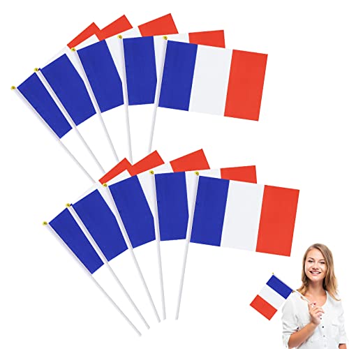 Lot de 10 petits drapeaux français avec baguette en plastique, mini drapeau français de la France, drapeau national français pour célébrer la Coupe du monde 14 x 21 cm