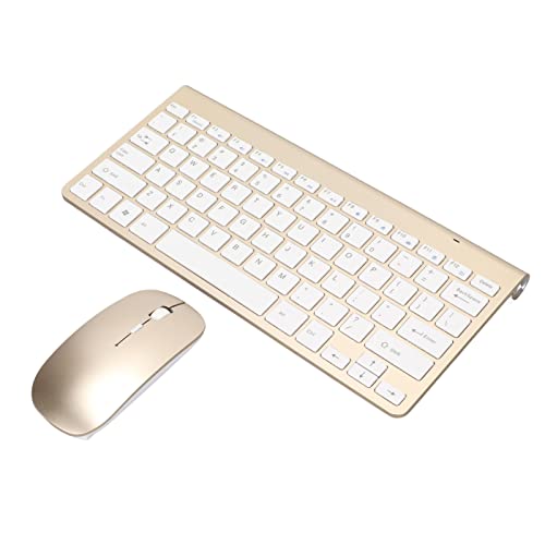 Teclado y mouse inalámbricos de diseño fino oro champán para escritorio profesional