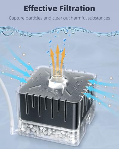 Image of Pawfly Aquarium Sponge Filter for Fish Tanks up to 5-20 Gallons, Small Fish Tank Filter, Sponge Filter with Foam and Air Stone (Air Pump Not Included)