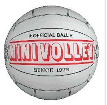 Amazon | ミニバレーボール（公認球）お得な12個セット/MINI-VB