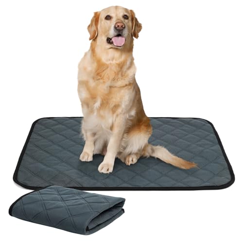 Cat Pee Pads The 15 best products compared Wild Explained
