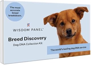 Wisdom Panel 3.0 Canine DNA Test - Dog DNA Test Kit for Breed and Ancestry Information