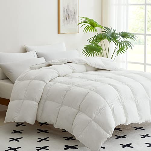 Our Best fluffy duvet insert Top 21 Model Reveled! Maine Innkeepers Association