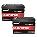Dumfume 2 Packs 12V 300Ah Plus LiFePO4 Battery (314Ah),200A BMS 4019Wh Lithium Iron Phosphate Battery 15000+ Cycles,Low-Temp Protection for RV,Solar,Off-Grid Systems,Home Storage