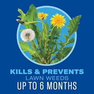 BioAdvanced 5-in-1 Weed and Feed Granules - Kills Lawn Weeds & Crabgrass - Feeds, Greens & Strengthens Lawn - Treats Up to 4,000 Square Feet - 9.6 lb Bag