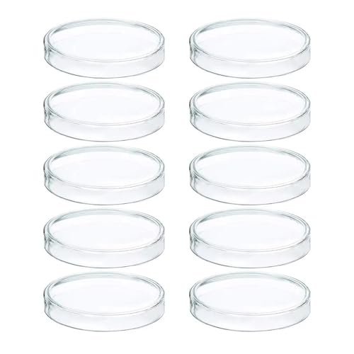 Boîtes de Petri en verre 60 mm lot de 10 fournitures de laboratoire jetables avec couvercle