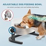 All for Paws Dog Elevated Bowls Stainless Steel Dog Food Water Bowls, Height Adjustable Raised Dog Feeder Mess Proof Pet Feeding Bowls for Small to Large Size Dogs - Image 2