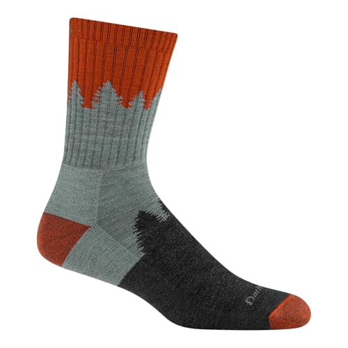 Darn Tough Men's Number 2 Micro Crew Midweight Hiking Socks (Style 1974) - Seafoam, Large