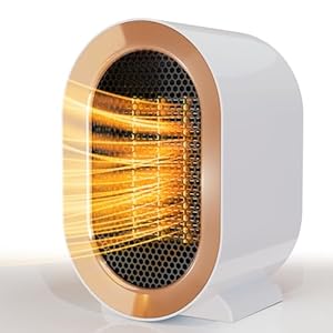 QQT Electric Space Heater,Portable Energy Efficient Space Heaters for Indoor Use,Two-Speed Portable Heater Fan for Office with Adjustable,Overheating Protection,Dumping Shutdown (White)