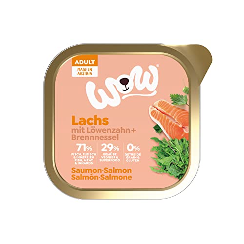 WOW Hundefutter nass Adult mit Lachs, 11x 150g I reichhaltiges Nassfutter für ausgewachsene Hunde Aller Rassen I Beste Qualität mit viel Fisch, Löwenzahn & Brennnessel I hohe Verträglichkeit