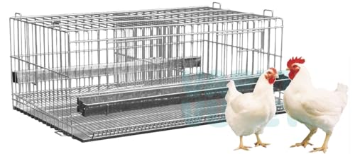 Gaiola Para Codorna Gigante Frango Postura Chapa Coletora
