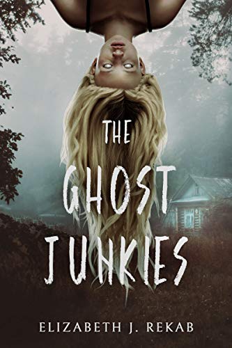 The Ghost Junkies: A Young Adult Paranormal Thriller