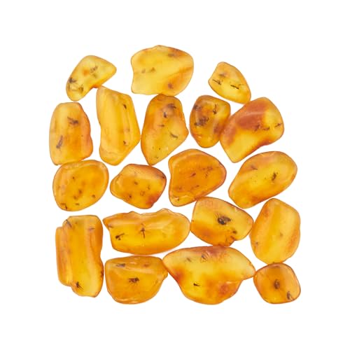 ELEGAMBER Natürlicher fossiler Baltischer Bernstein, Insekten von vor Millionen von Jahren, 4 Sets, echte Insektenproben, Wissenschaft, Bildung, Tierexemplare (Mindestens Zwei Insekten fossilien)