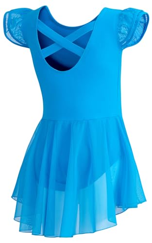 Image of DIPUG Ballet Leotards for Girls Ballet Leotard with Skirt Toddler Dance Leotards Flutter Sleeve and Criss-Cross Back