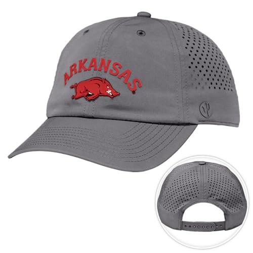 Gorra Snapback Desert Cactus Arkansas con cierre ajustable miniatura 1