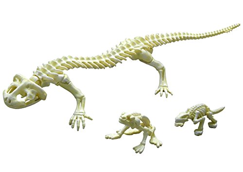 Salamandre géante du Japon No.204 Pose Skeleton reptile miniature
