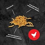 8 oz - Ma Poule Express Vers à repas séchés pour oiseaux sauvages, etc. Env. 8,000 Vers des repas